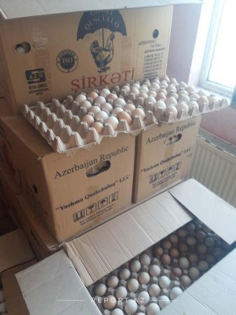 “Yumurta Kamil” saxlanıldı - Foto 