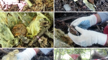 Oğuzda 3 ədəd əl qumbarası tapıldı