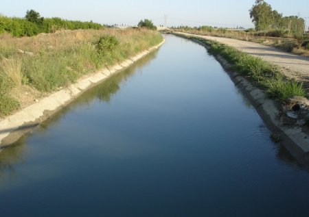 Şabranda qardaş bacısını su kanalında boğaraq öldürdü