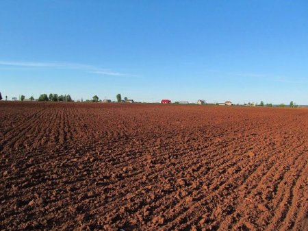 Azərbaycanda vətəndaşın xəbəri olmadan adına torpaq sahəsi rəsmiləşdirilib?