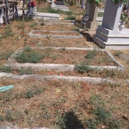 Füzulidə şəhid qəbirstanlığı baxımsız vəziyyətdədir? - FOTOLAR