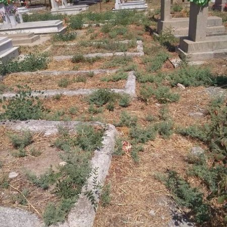 Füzulidə şəhid qəbirstanlığı baxımsız vəziyyətdədir? - FOTOLAR