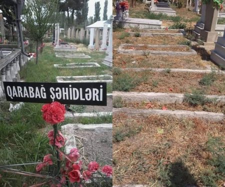 Füzulidə şəhid qəbirstanlığı baxımsız vəziyyətdədir? - FOTOLAR