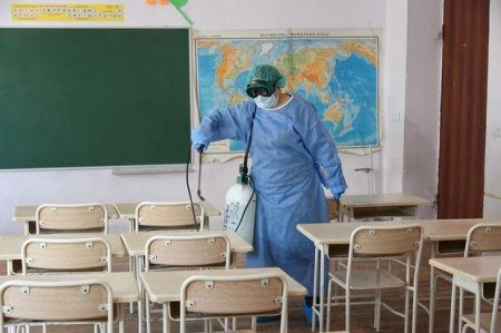 Koronavirusa görə Gürcüstanda təhsil oktyabra təxirə salındı