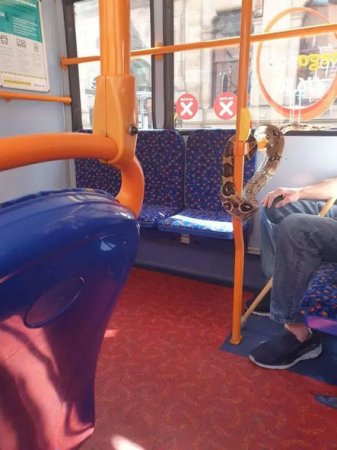 Koronavirusdan ilan vasitəsilə qorunan şəxs marağa səbəb oldu - FOTO