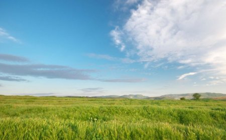 Sabah hava yağmursuz keçəcək — PROQNOZ