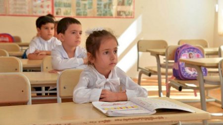 Ekspert şagirdləri virusdan qorumağın yollarını açıqladı