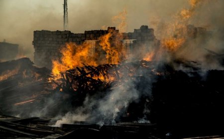 FHN cəbhə bölgəsindəki vəziyyətlə bağlı məlumat yaydı