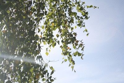 Sabahın HAVA PROQNOZU açıqlandı