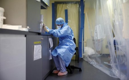 Gürcüstanda daha 527 nəfər koronavirusa yoluxub, 6 pasiyent ölüb 