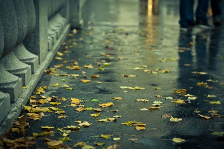 Sabahın hava proqnozu açıqlandı