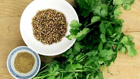 İnfeksiyalara qarşı mübarizədə orqanizmin dərmanı