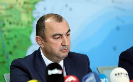 Azərbaycanın bitki örtüyünün 42 faizi, meşə sahəsinin isə 25 faizi işğal olunmuş ərazilərdə yerləşir