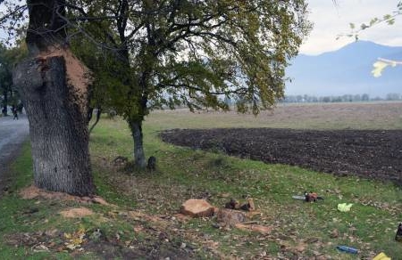 Ermənilərin ekoloji cinayətləri beynəlxalq konvensiyaların katibliklərinə təqdim edilib
