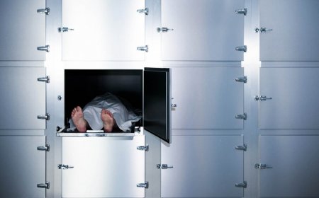 Diaspor Komitəsi: Polşada təhsil alan azərbaycanlının ölüm səbəbi araşdırılır