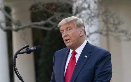 Tramp: “Bayden seçkilər saxtalaşdırıldığı üçün qalib gəlib”