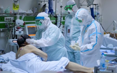 Bakıda koronavirusa ən yüksək yoluxma hansı rayondadır? — SİYAHI