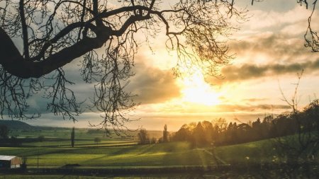 Sabah hava necə olacaq?