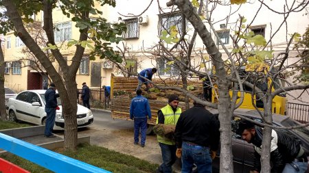 Nəsimi rayonunda abadlıq işləri davam etdirilir -FOTOLAR