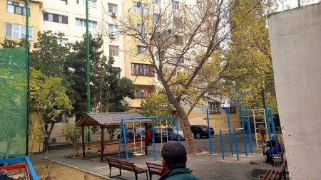 Nəsimi rayonunda abadlıq işləri davam etdirilir -FOTOLAR