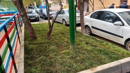 Nəsimi rayonunda abadlıq işləri davam etdirilir -FOTOLAR