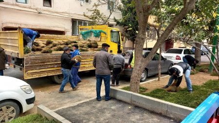 Nəsimi rayonunda abadlıq işləri davam etdirilir -FOTOLAR