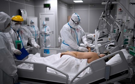 Dünyada koronavirusa yoluxanların sayı 63 milyonu ötüb