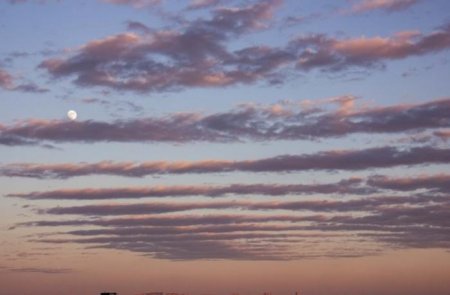 Bu gün Bakıda 12 dərəcə isti olacaq — PROQNOZ