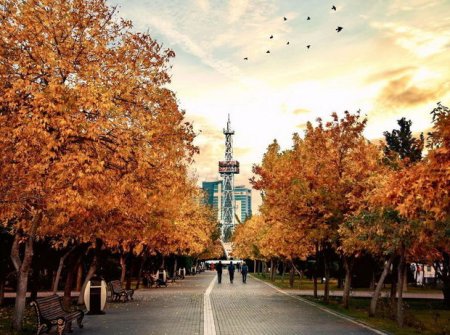 2020-ci ilin noyabrı meteoroloji müşahidələr tarixinin ən istisi kimi qeydə alınıb