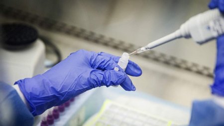 Azərbaycanda vaksinasiya strategiyası hazırlanır