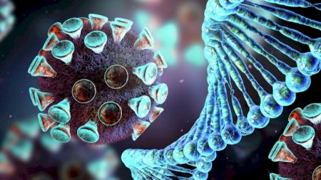 ÜST COVID-19-un yeni növü barədə məlumatları şərh edib 