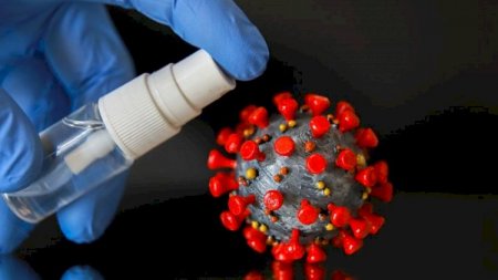 Koronavirusu məhv edən təbii vasitə tapıldı