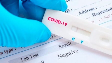 COVİD-19-dan sağalanlar koronavirusun yeni formasına yoluxa bilərlər? 