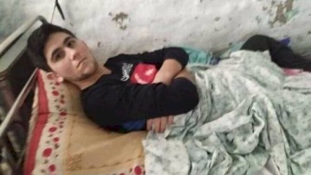 “Göyçayın icra başçısına müraciət etsək də...” – Qazi ailəsi ağır durumda