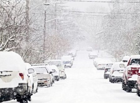 Bakı qara hazırlaşır: Texnikalar hazır vəziyyətə gətirildi
