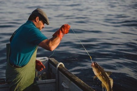Qanunsuz ov edən və ov məhsullarını satan şəxslər cəzalandırıldı