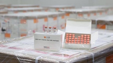 Sabah Çindən Türkiyəyə “CoronaVac” vaksininin növbəti partiyası gətiriləcək