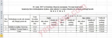 Ramiz Mehdiyevin həyat yoldaşını məhkəməyə verdilər: Şərab biznesi ortaya çıxdı (FOTOFAKT)