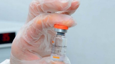 Peyvənd olunan şəxslər təkrar virusa yoluxa bilərmi? - TƏBİB-dən AÇIQLAMA