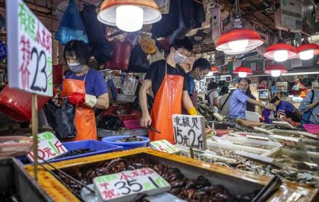 COVID-19-un Uhana gəlməsi ilə bağlı dəlillər yoxdur