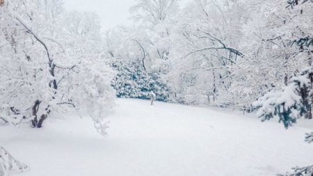 Bu ərazilərə qar yağdı - FAKTİKİ HAVA