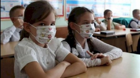 20 gündə 225 şagird, 159 işçi heyəti koronavirusa yoluxub - Təhsil Nazirliyi