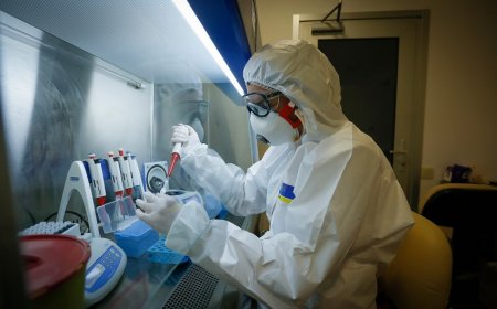 “Britaniya ştammından ölüm heç bir halda xələfindən “mütləq yüksək” ola bilməz” - Azərbaycanlı professor əmin edir “Britaniya ştammından ölüm heç bir halda xələfindən “mütləq yüksək” ola bilməz” - Azərbaycanlı professor əmin edir