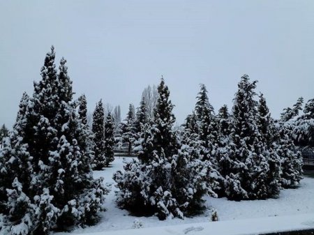 Əksər rayonlarda qar və yağış yağıb - FAKTİKİ HAVA