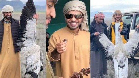 Nazirlik ova görə cərimələnən ərəblərin adlarını açıqladı