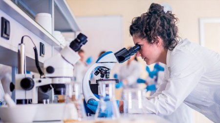 Koronavirus süni mənşəlidirmi? - ÜST hesabatını açıqladı