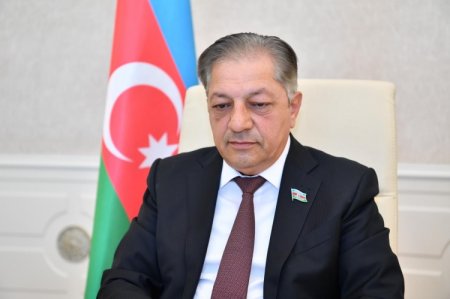 Aralıq Dənizi Ölkələri Parlament Assambleyasının və TÜRKPA-nın ilk birgə videokonfransı keçirilib