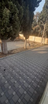 Gəncə icra başçısı "Zəfər bulağı" tikmək istəyini niyə basdırdı? - FOTOLAR