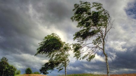 Sabahdan güclü külək əsəcək, intensiv yağış yağacaq (XƏBƏRDARLIQ)
