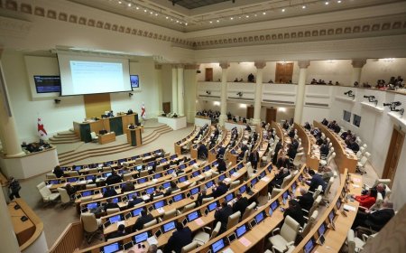 6 депутатов парламента Грузии подали в отставку из правящей партии
